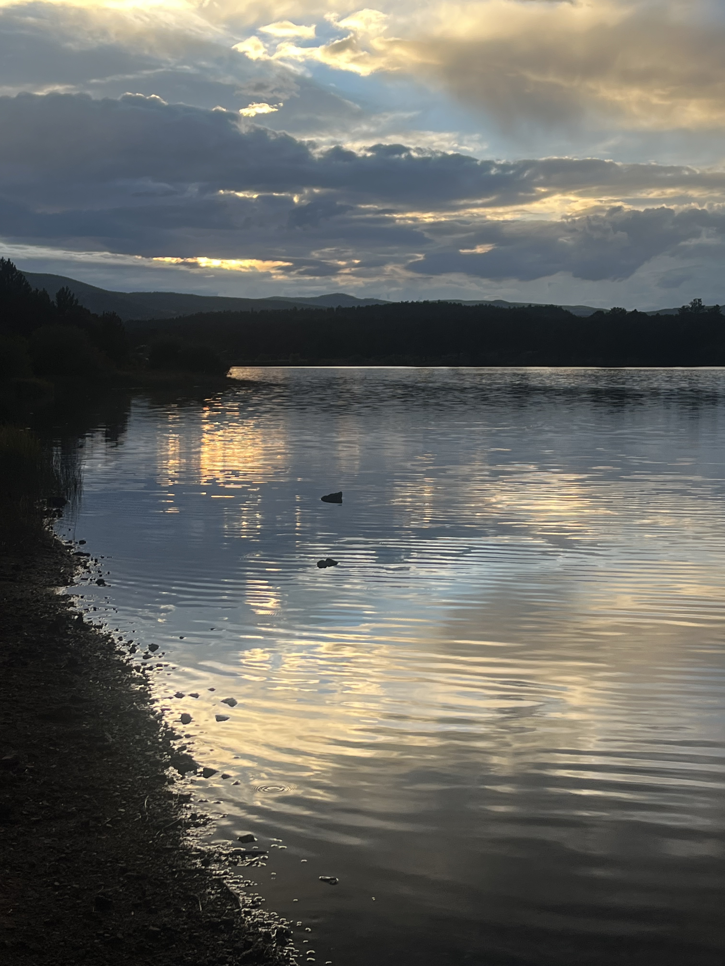 Good, Corrective Pain, and the CPWP (Comfortable Privileged White Person)