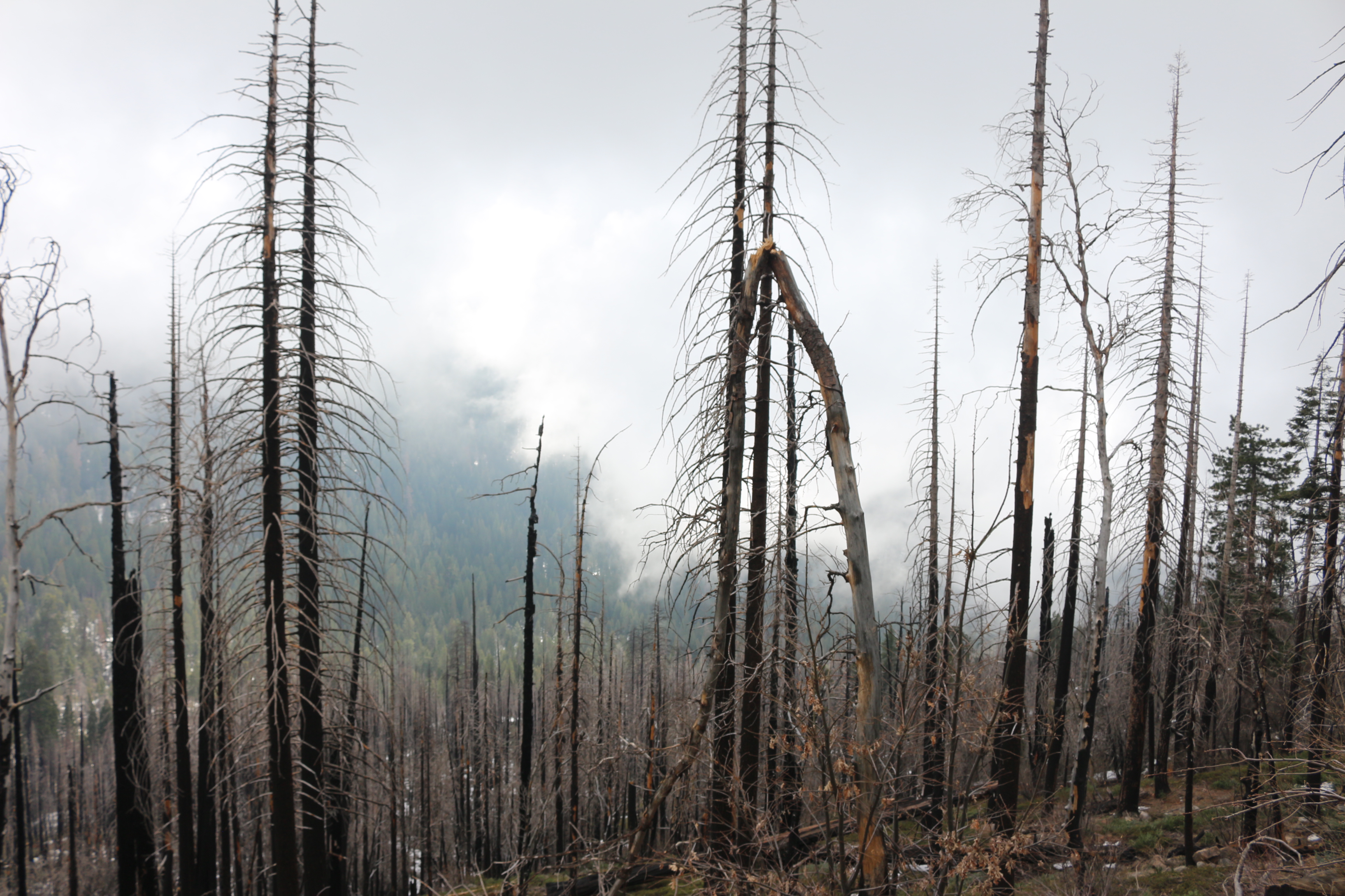 Good, Chaos and When Delusion Breaks Us Down