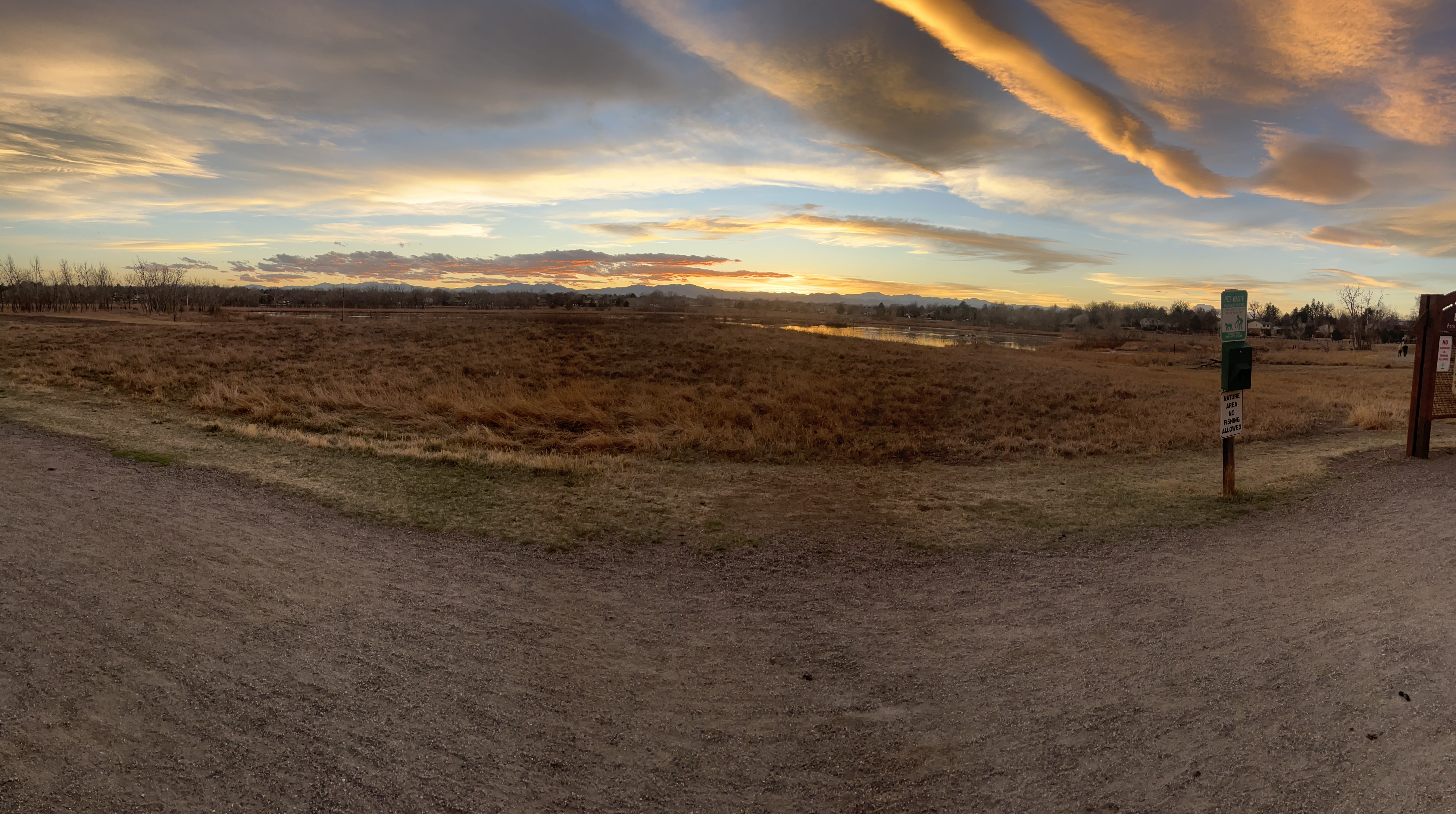 Good and What We Want to be True